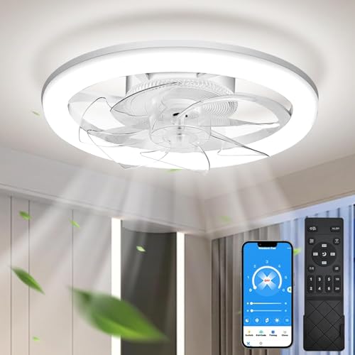 EKDADL 50cm Beleuchtung Leise, Dimmbar Deckenlampe, Modern Deckenleuchte Licht für Schlafzimmer Wohnzimmer, Umkehrbaren DC Motor
